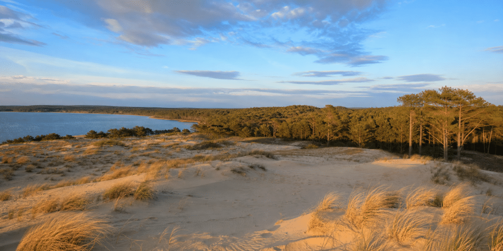 Paysage naturel de Biscarrosse avec dunes, pins et ciel d’été