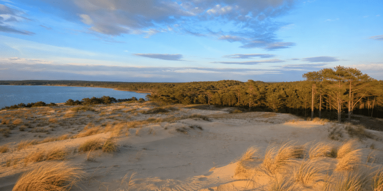 Paysage naturel de Biscarrosse avec dunes, pins et ciel d’été